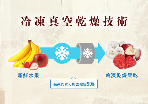 解釋冷凍真空乾燥技術的過程，將新鮮水果去除約90%以上之水分，製作成冷凍乾燥果乾
