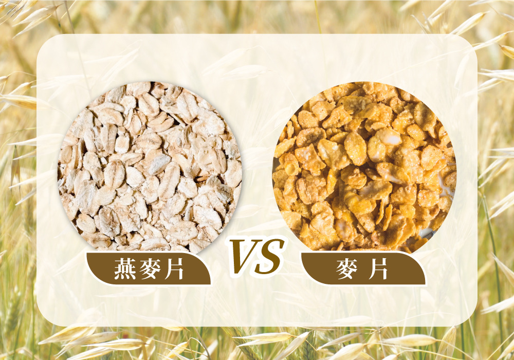 比較燕麥片與麥片的差異。麥片為各式穀物混合，其加工過程多，外觀繽紛，口感香脆，但營養流失相對多。