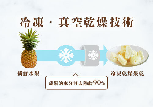 冷凍真空乾燥技術示意圖，將新鮮鳳梨透過凍乾技術製成凍乾鳳梨果乾。