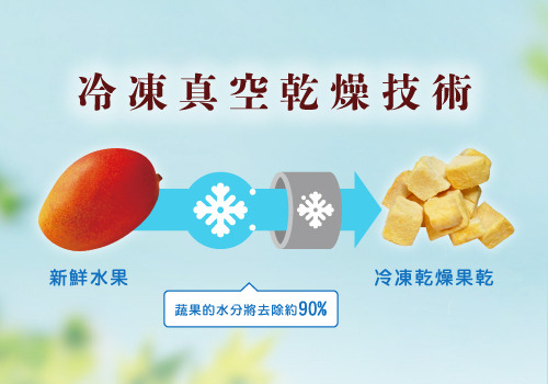 冷凍真空乾燥技術示意圖，將新鮮芒果透過凍乾技術製成凍乾芒果果乾。