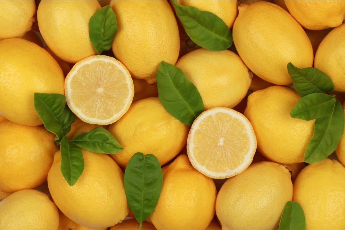 檸檬香氛排毒泡澡法