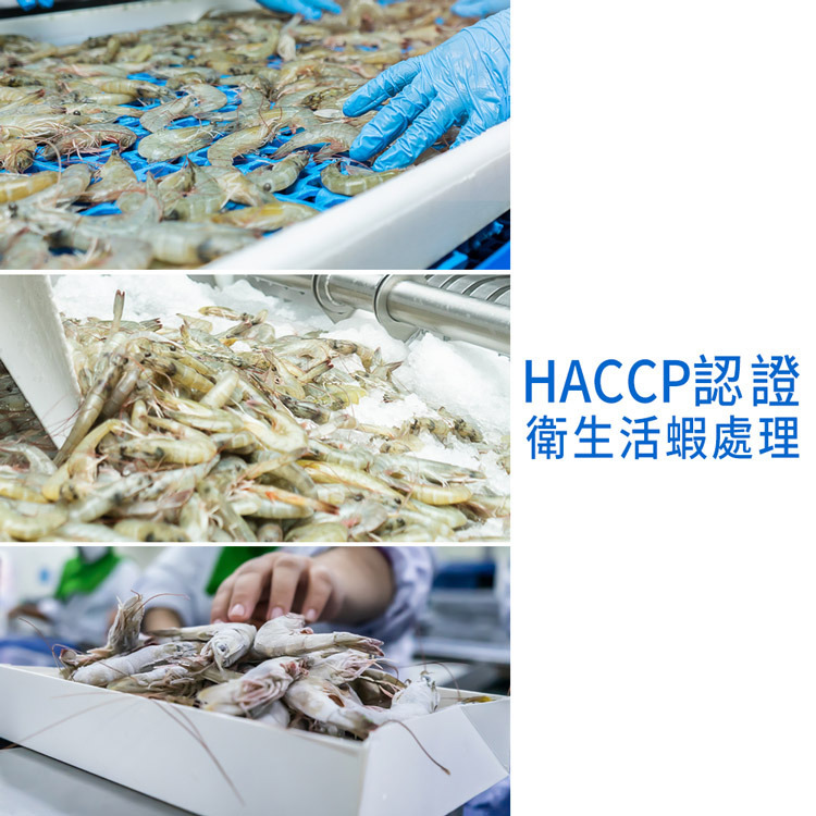 爭鮮-美洲白蝦養殖榜首厄瓜多HACCP認證-急凍白晶蝦-40-50-約有41-47隻-950g1盒-砥家啦