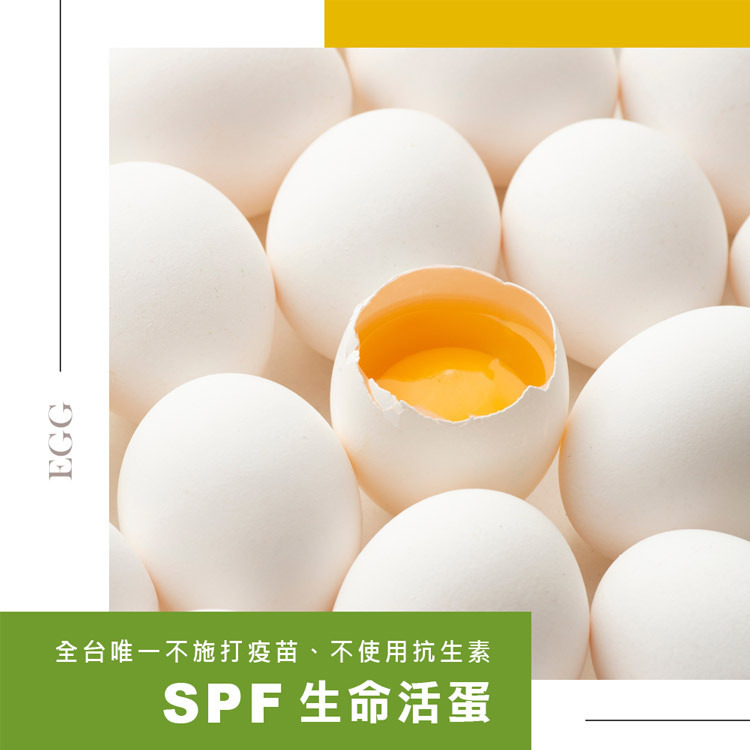 龜毛-Good-Mall-SPF-龜毛生食級雞蛋-全台唯一SPF認證級產品-8入1盒-砥家啦