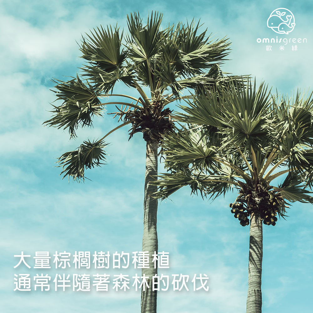 棕櫚油對環境動植物影響大