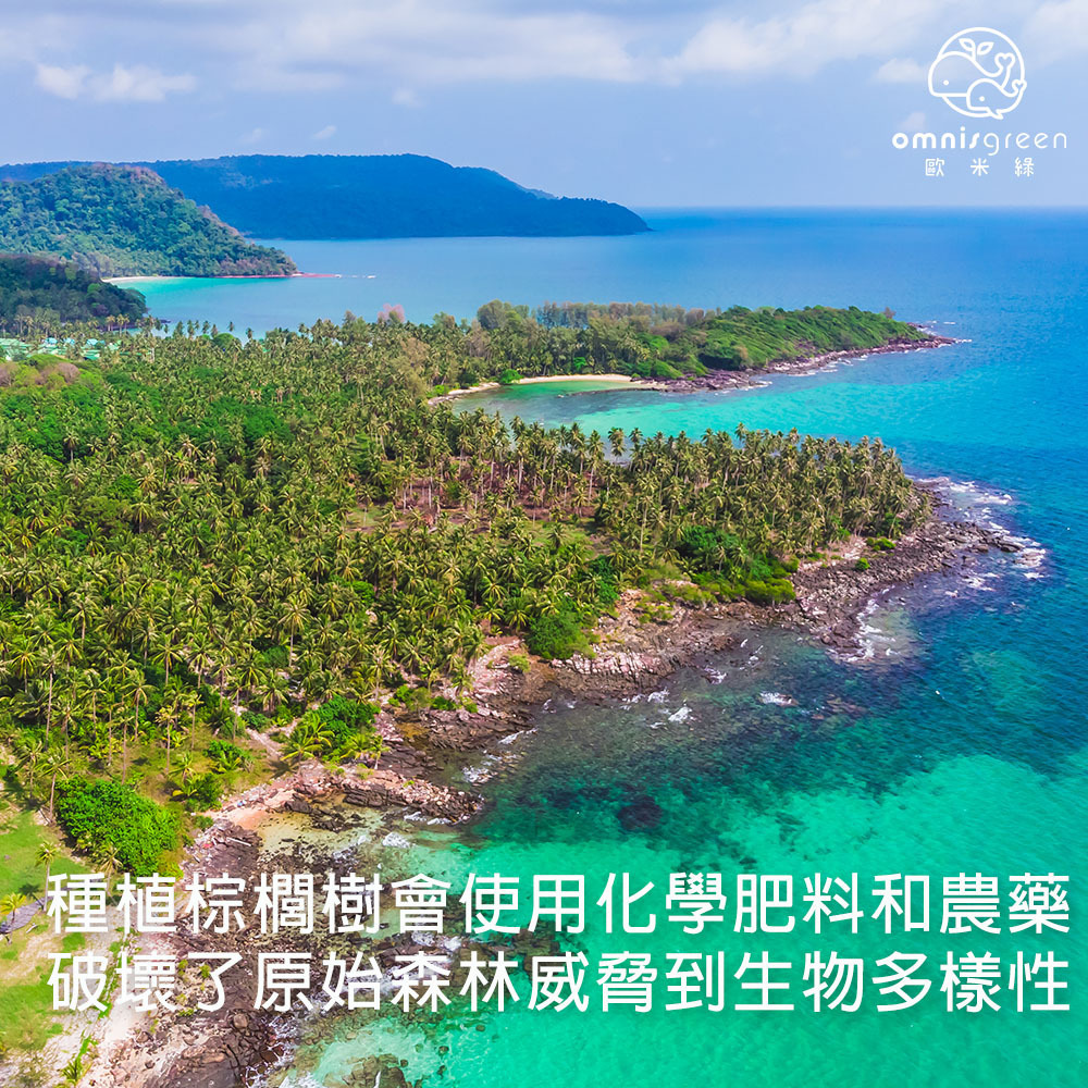 棕櫚油對環境動植物影響大