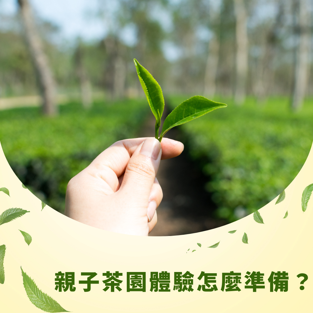 family-tea-garden-experience-prep