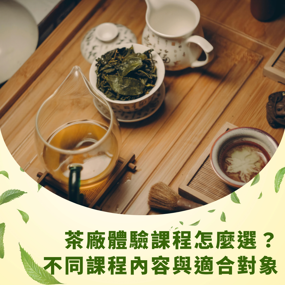 tea-factory-experience-course-guide