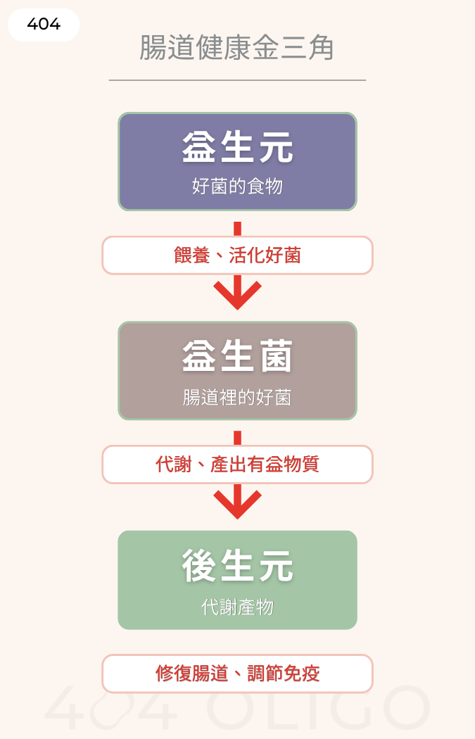 益生元活化益生菌，作用後產出後生元