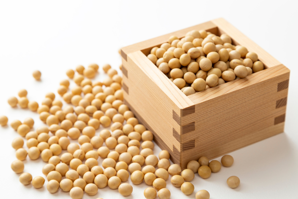 大豆寡糖原料示意圖