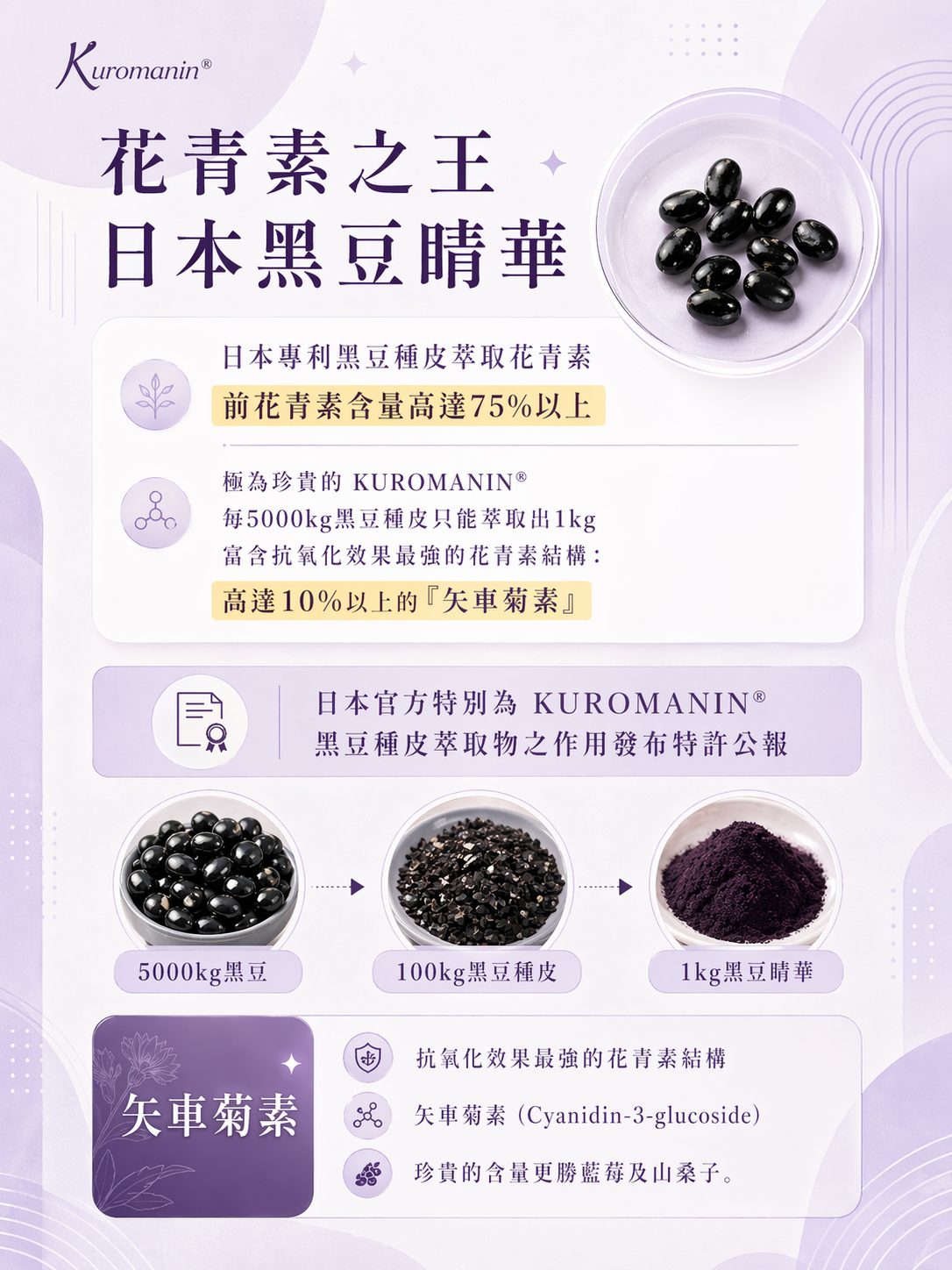 臺灣可可光榮紀錄