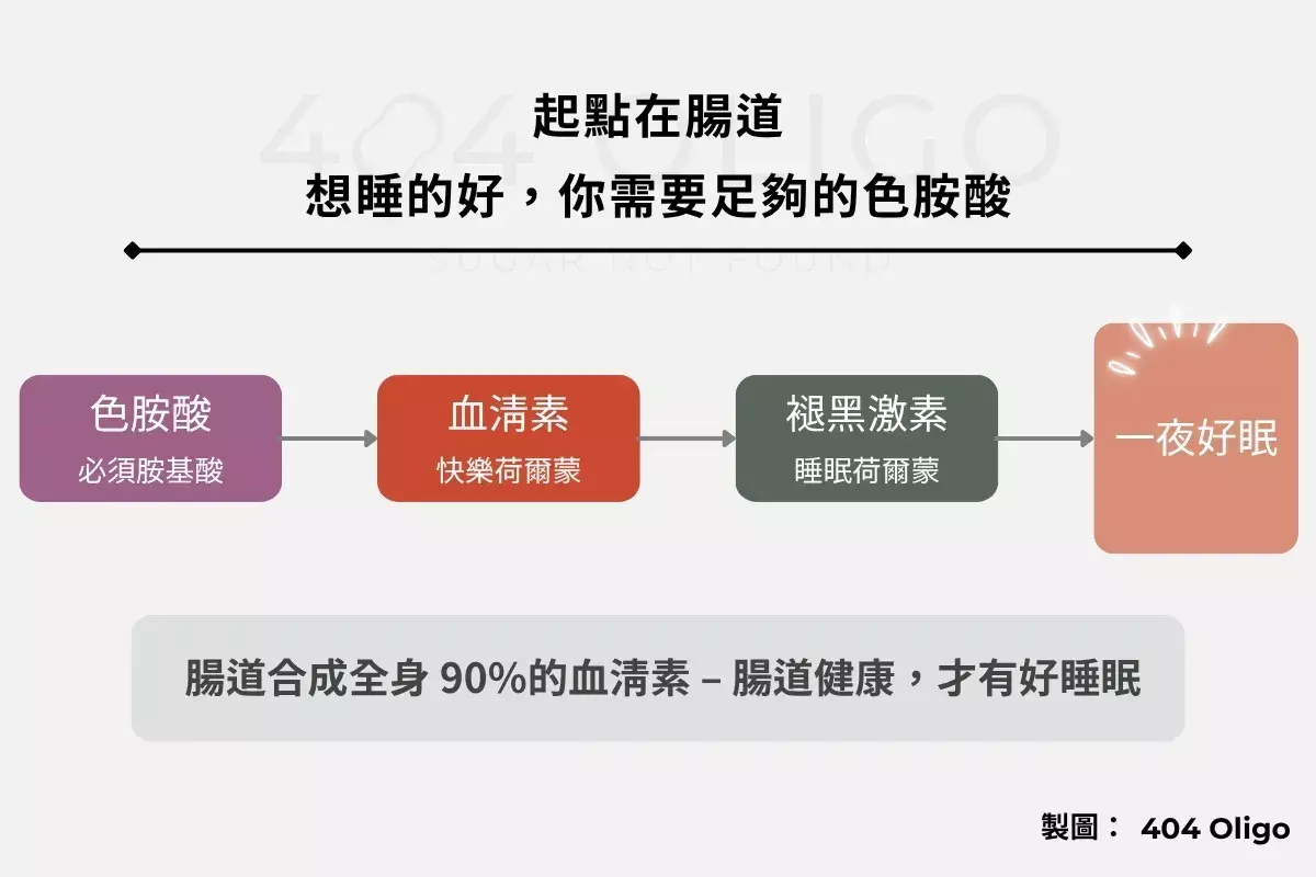 色胺酸血清素褪黑激素路徑示意圖