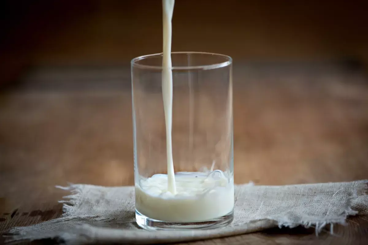 乳製品是半乳寡糖的主要來源
