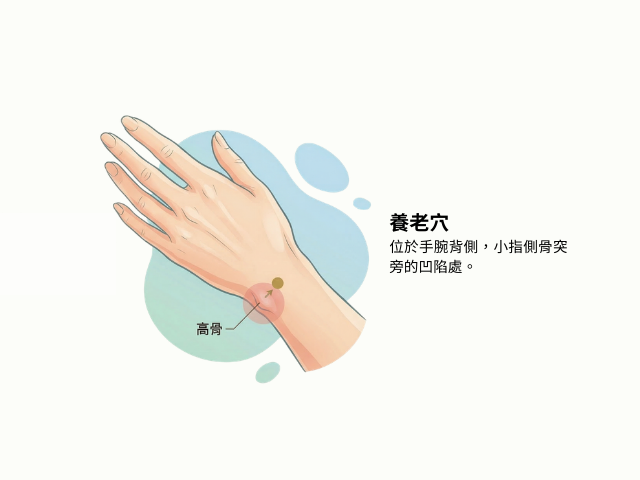 養老穴的位置