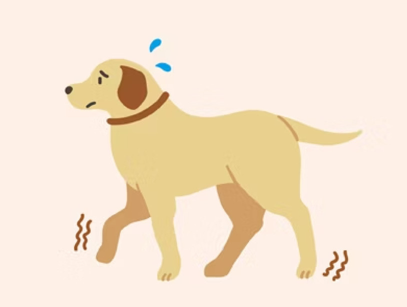 明顯的虛弱或嗜睡