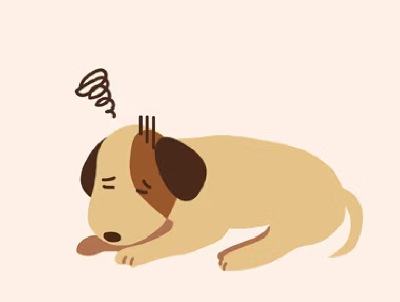 步態改變或是跛行