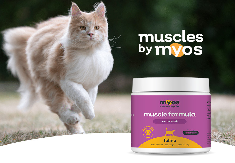 MYOS挺樂貓用肌肉配方