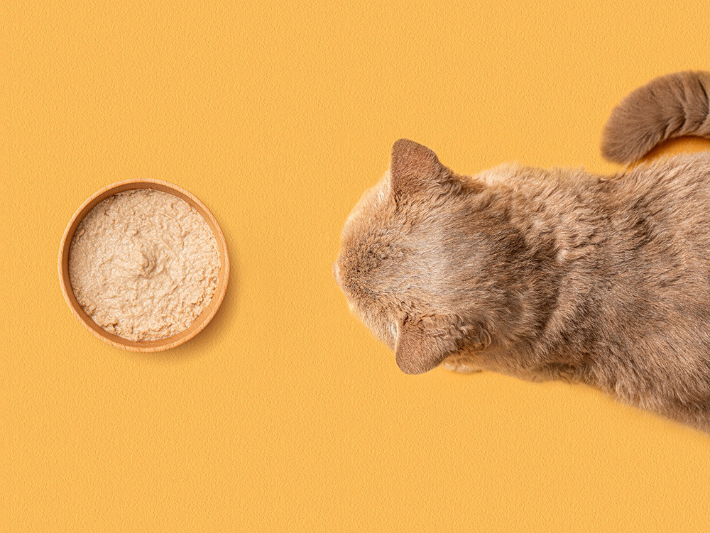 珍奇成貓機能主食罐泥狀質地