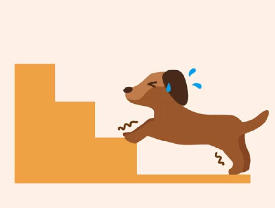 上下樓梯顯得困難