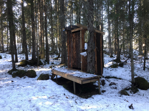 挪威樹屋