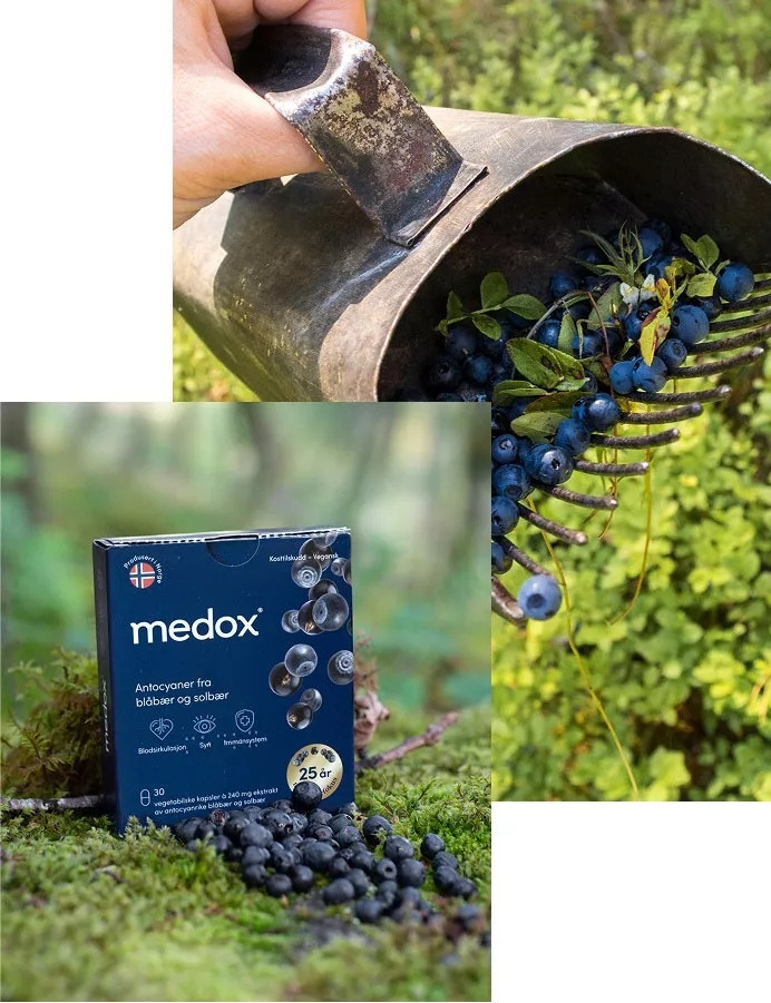 Medox 歐洲藍莓花青素膠囊