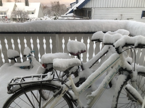 挪威冬天