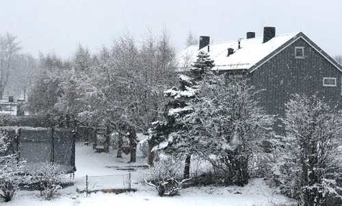 挪威冬天