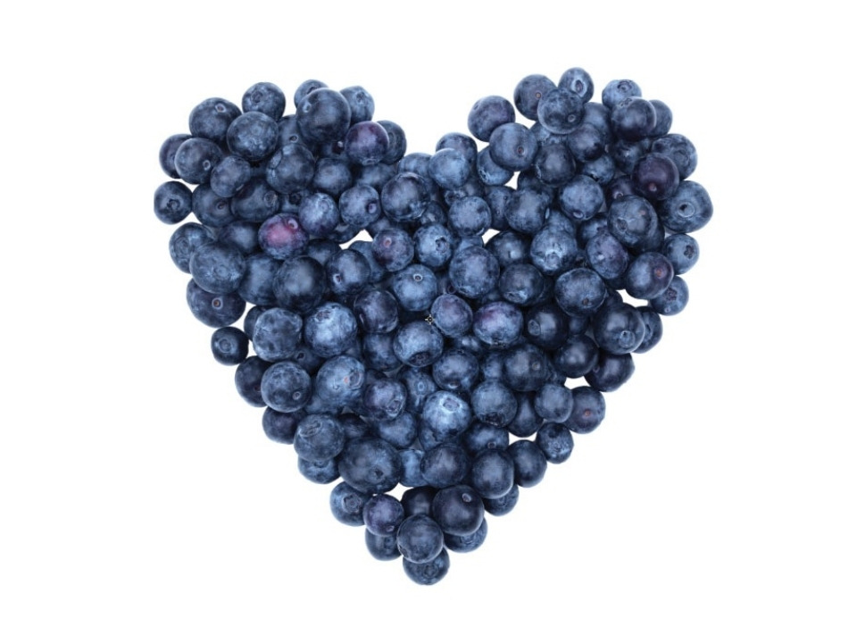 為什麼山桑子(歐洲藍莓)是超棒的營養補給？