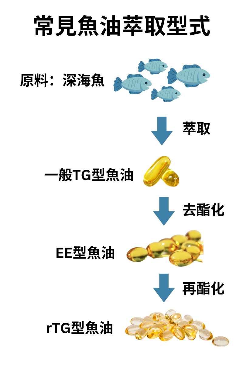 魚油萃取型式：TG/EE/rTG