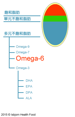 什麼是Omega-6