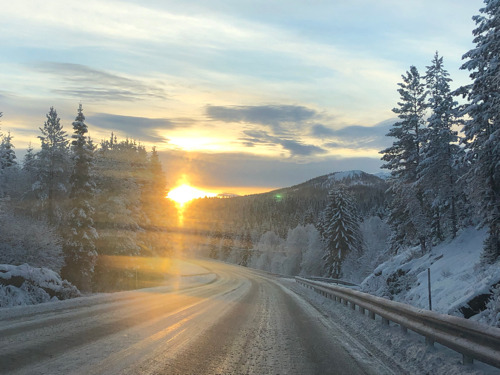 挪威冬日