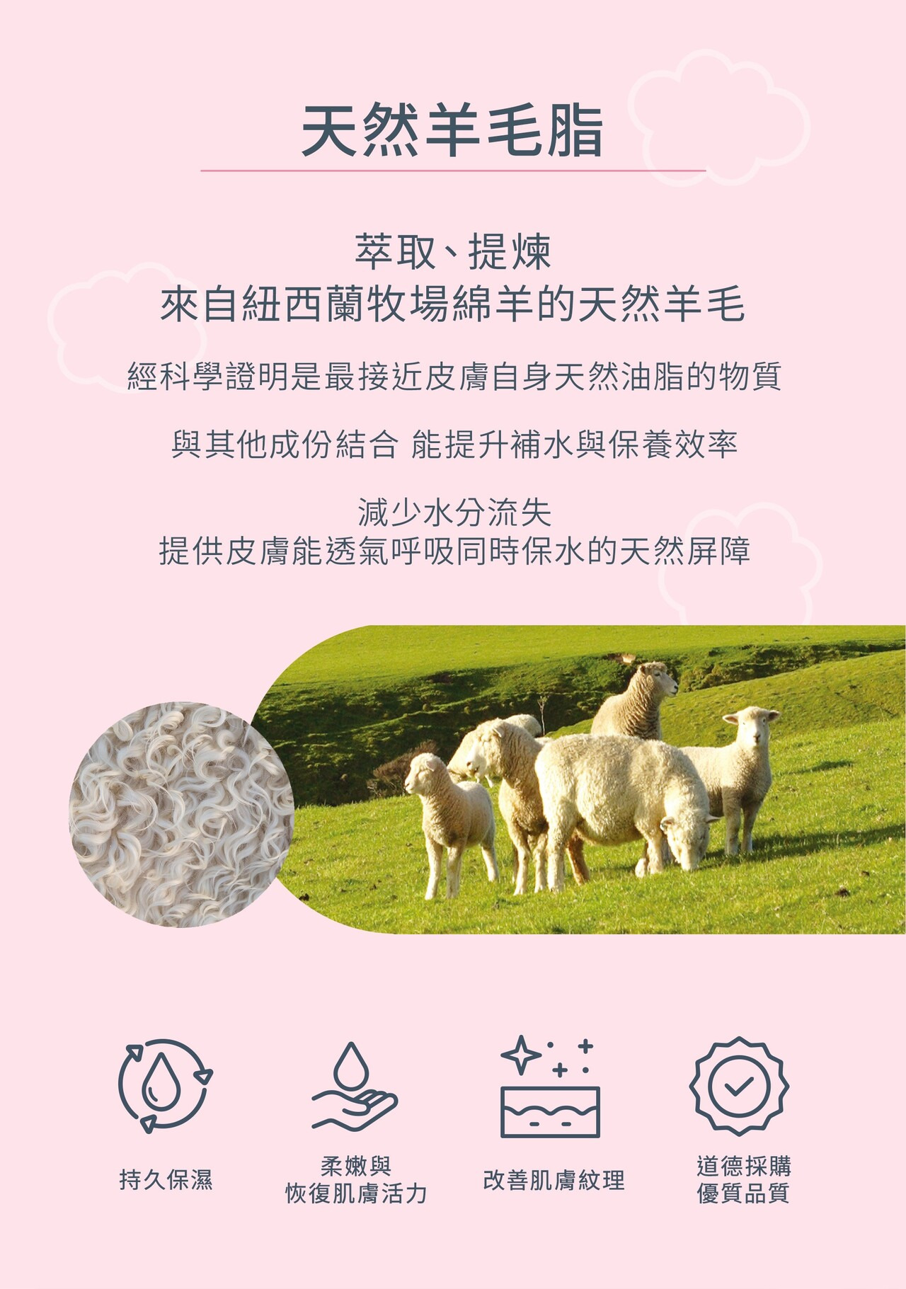 天然羊毛脂萃取提煉來自紐西蘭牧場綿羊的天然羊毛經科學證明是最接近皮膚自身天然油脂的物質與其他成份結合 能提升補水與保養效率減少水分流失提供皮膚能透氣呼吸同時保水的天然屏障持久保濕柔嫩與恢復肌膚活力道德採購改 善 肌 膚紋理優質品質