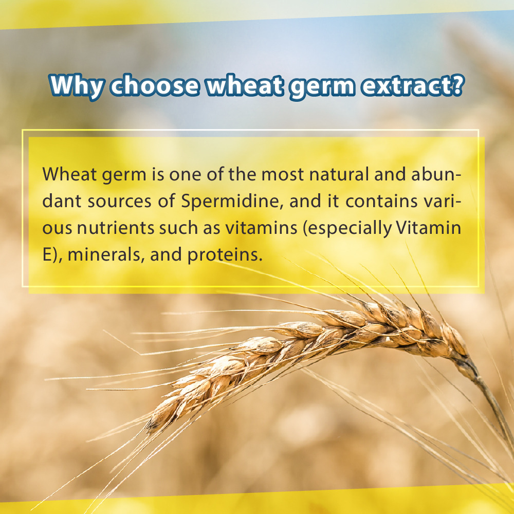 Wheat Germ Extract PLUS