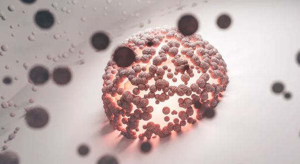 72小時斷食科學原理