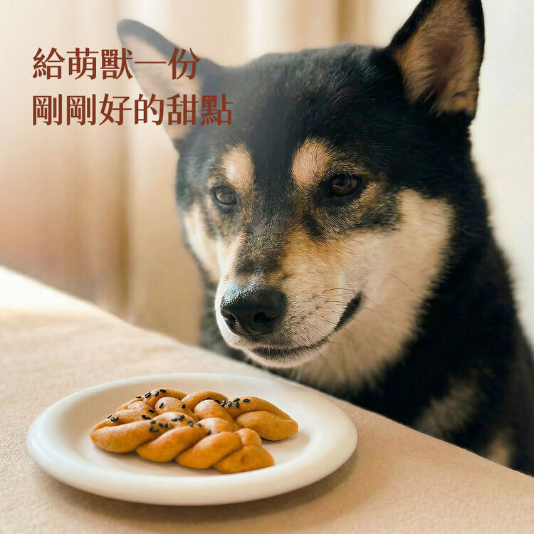 萌獸探險隊 ｜ 寵物麵包 ｜萌獸私廚 ｜ 貓狗食品 ｜ 寵物健康