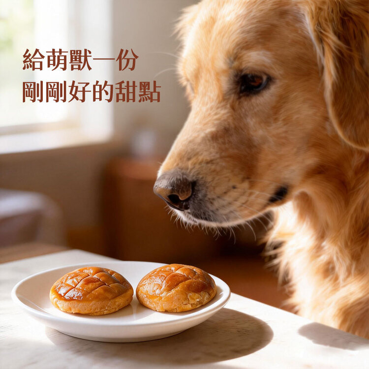 萌獸探險隊 ｜ 寵物麵包 ｜萌獸私廚 ｜ 貓狗食品 ｜ 寵物健康