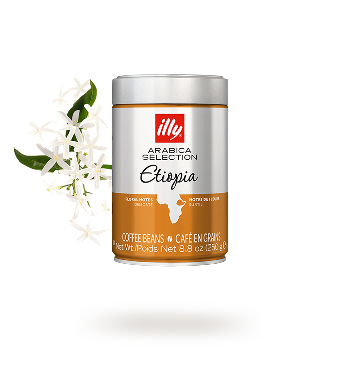 衣索比亞咖啡豆