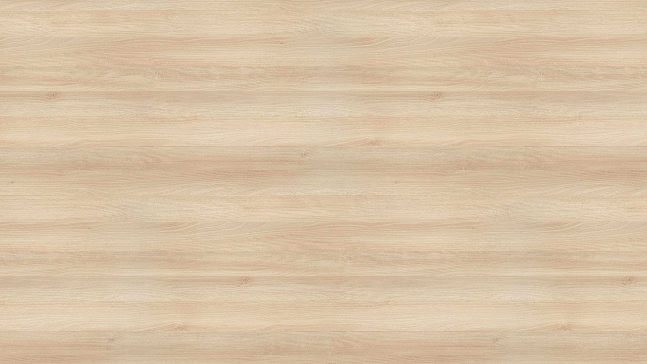 H1277淺色萊克蘭刺槐