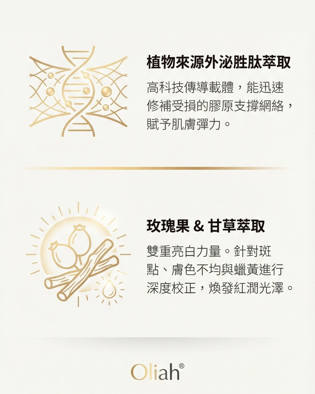 Oliah拉提緊緻霜02