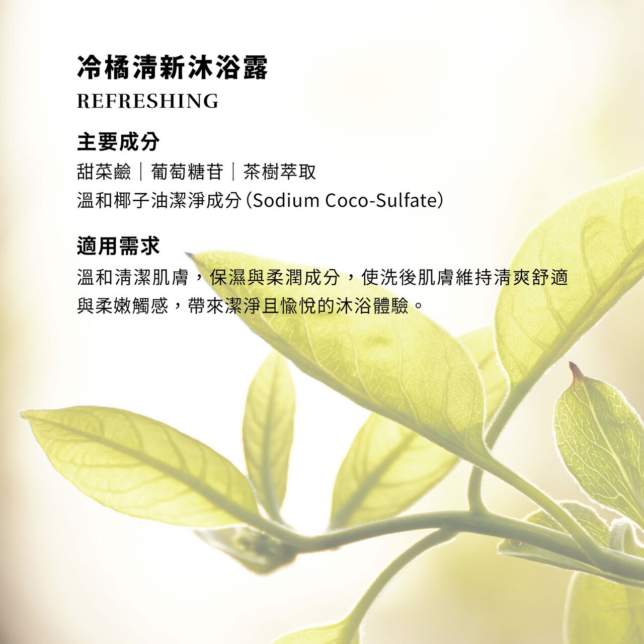 W505 冷橘清新沐浴露 REFRESHING BODY WASH