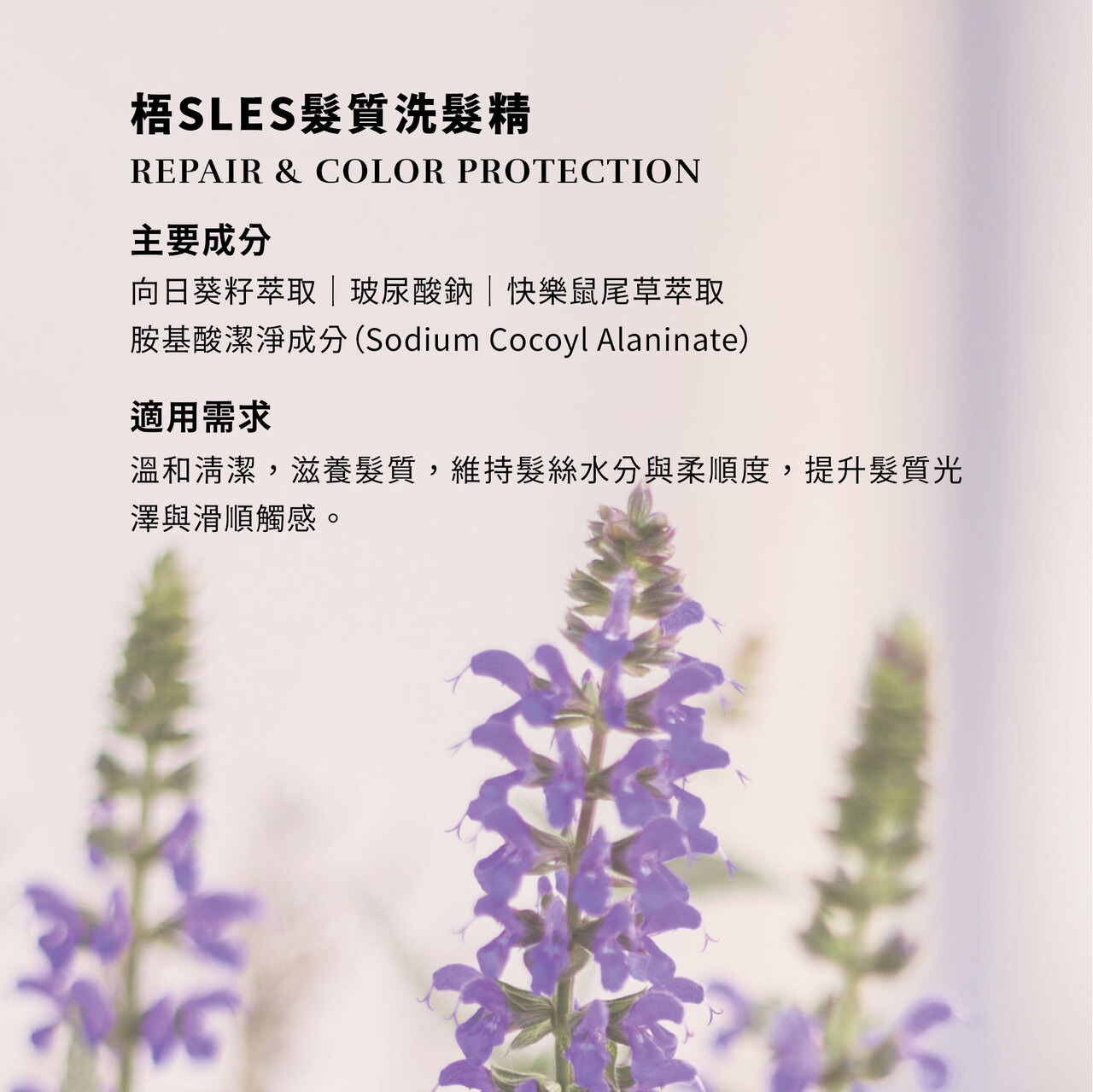 W505 梧SLES頭皮洗髮精REPAIR & COLOR PROTECTION SHAMPOO