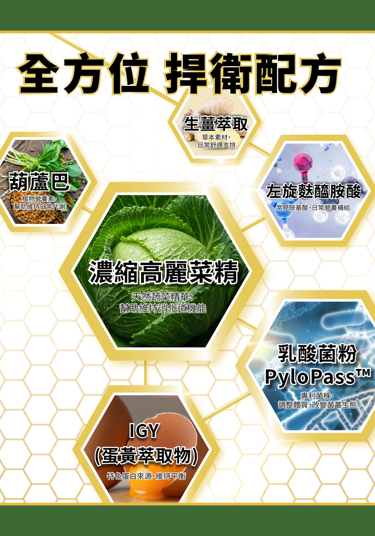 顧胃，胃部保健，胃幽門桿菌