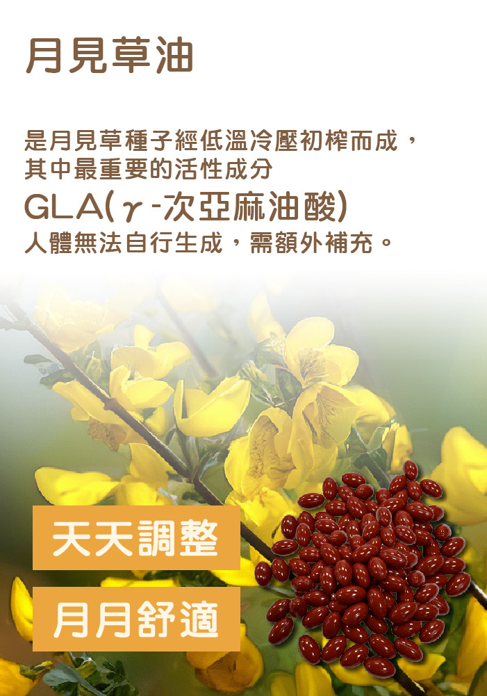 更年期, 熟齡女性