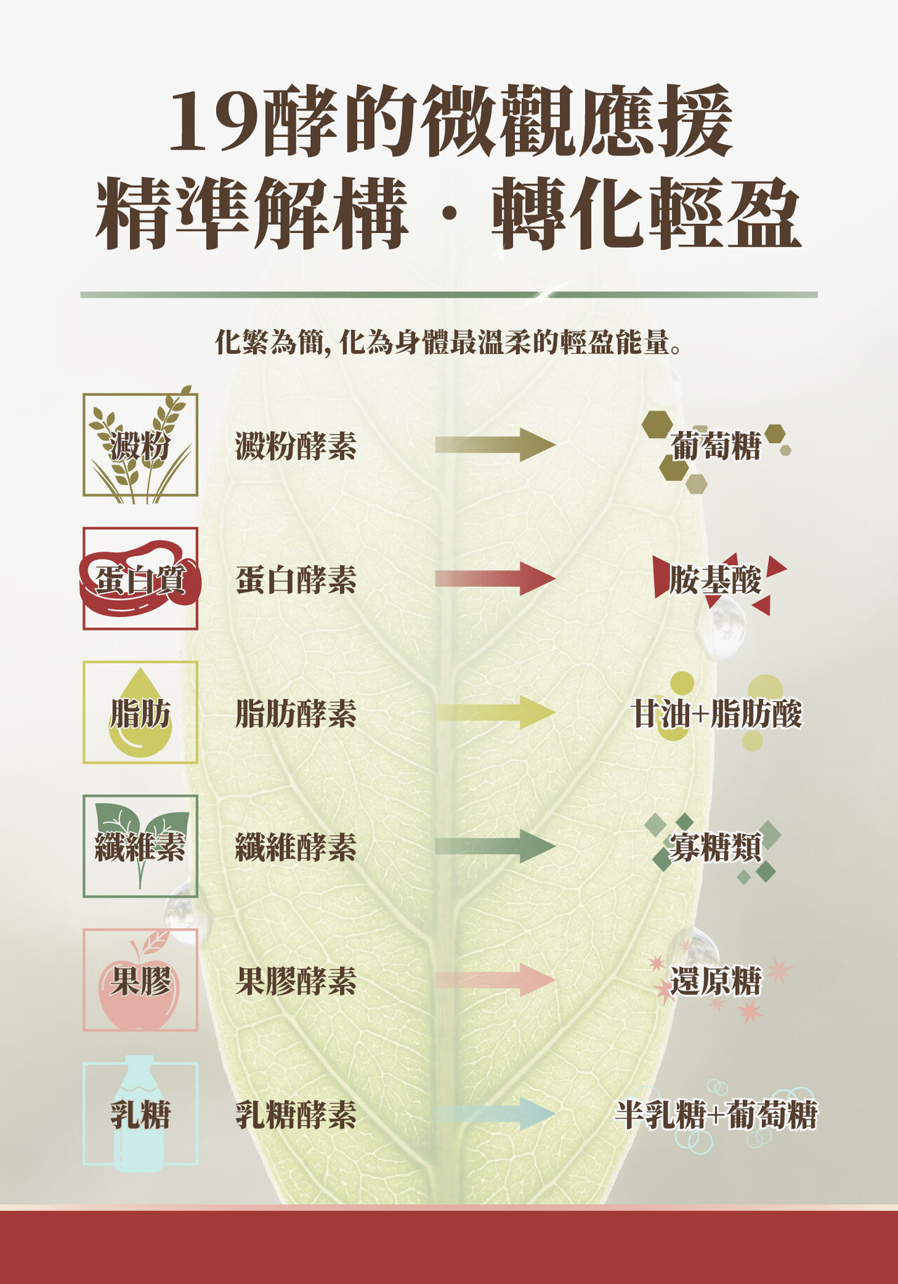 消化不良,脹氣,新陳代謝