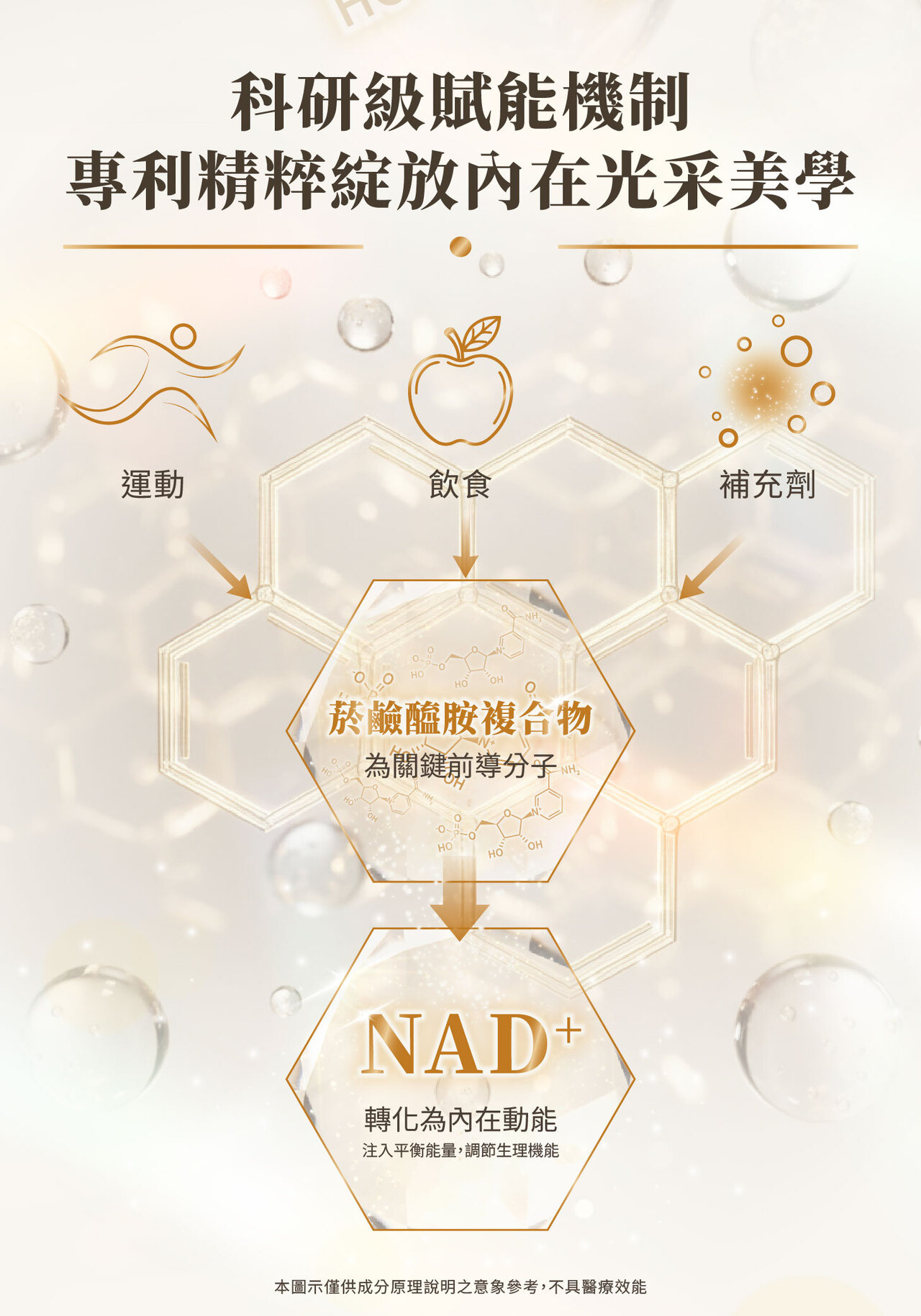 NMN,養顏美容,逆齡,膠原蛋白