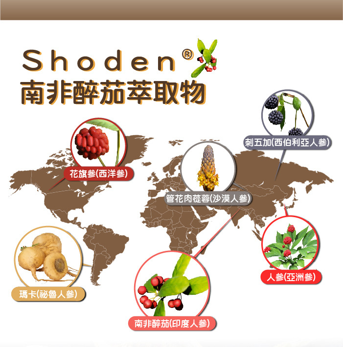 更年期, 熟齡女性