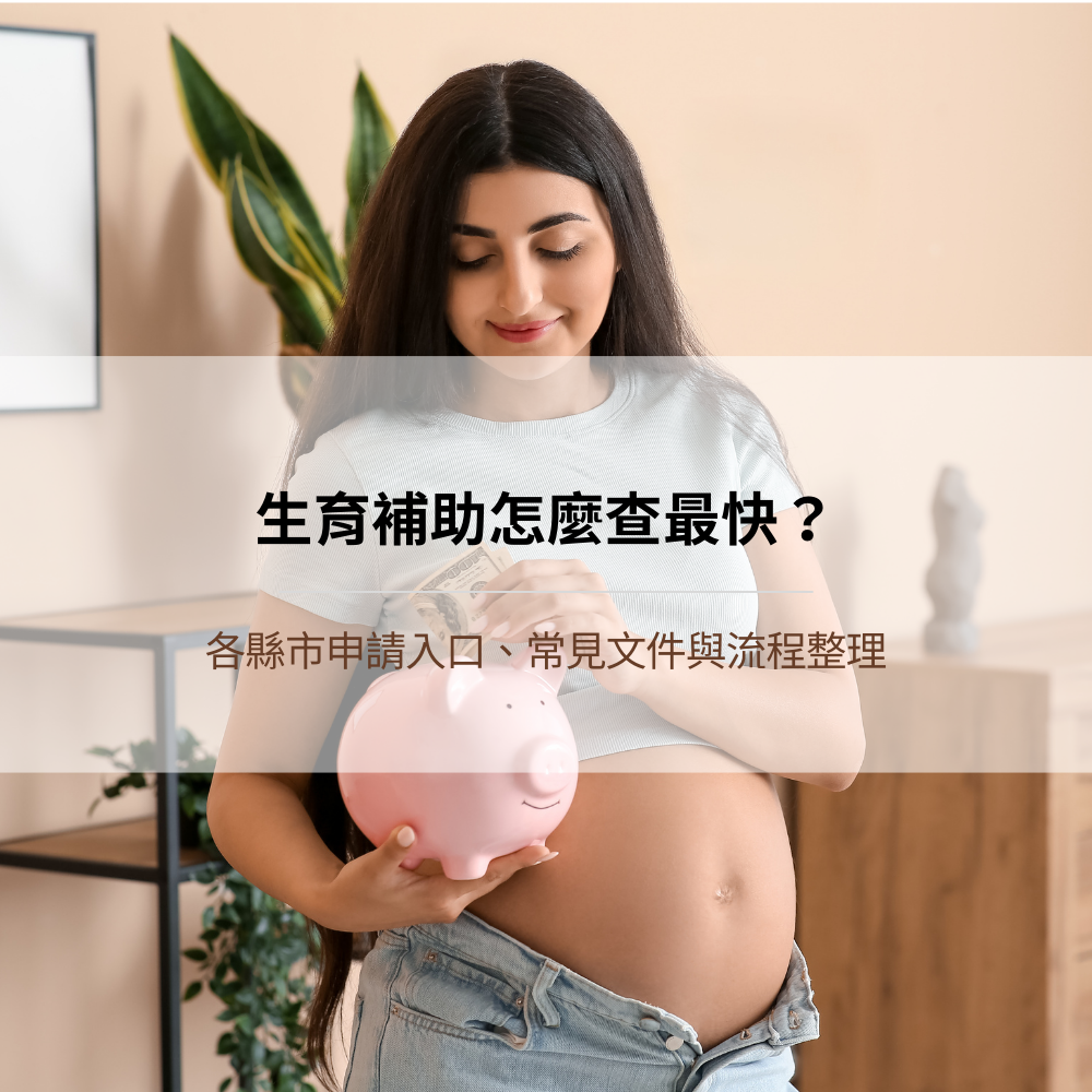 birth-subsidy-portals-documents-process