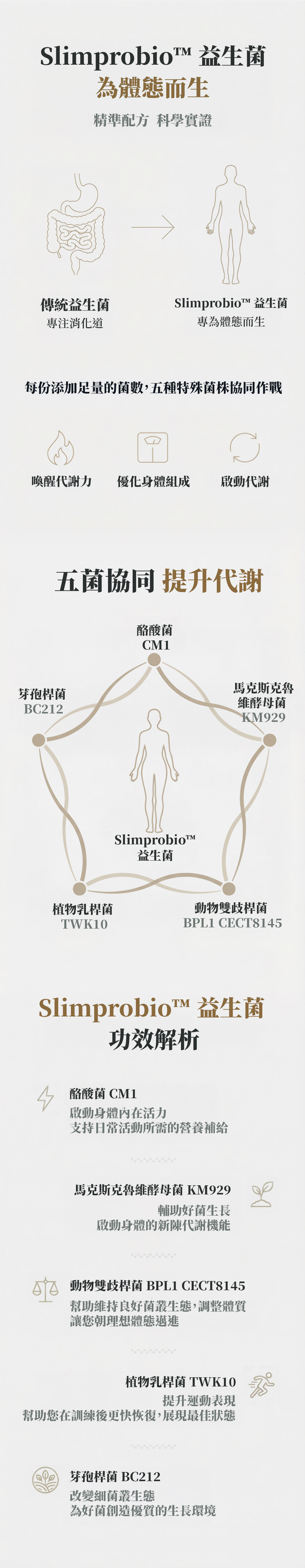 益塑機能蛋白飲五益菌 Slimprobio 配方示意圖，結合五種專利益生菌，強調促進代謝、體態管理與營養吸收的整合型補給設計。