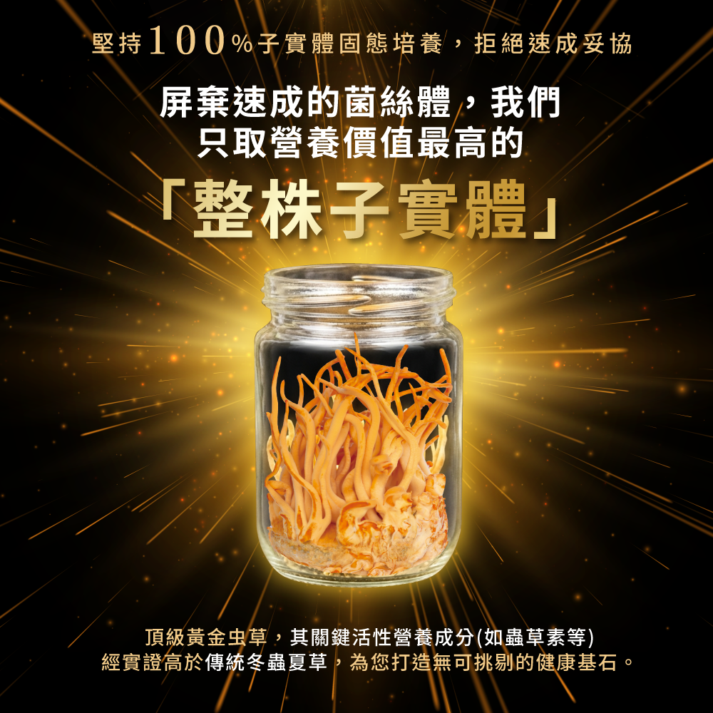 頂級黃金虫草，關鍵活性營養成分高於傳統冬蟲夏草