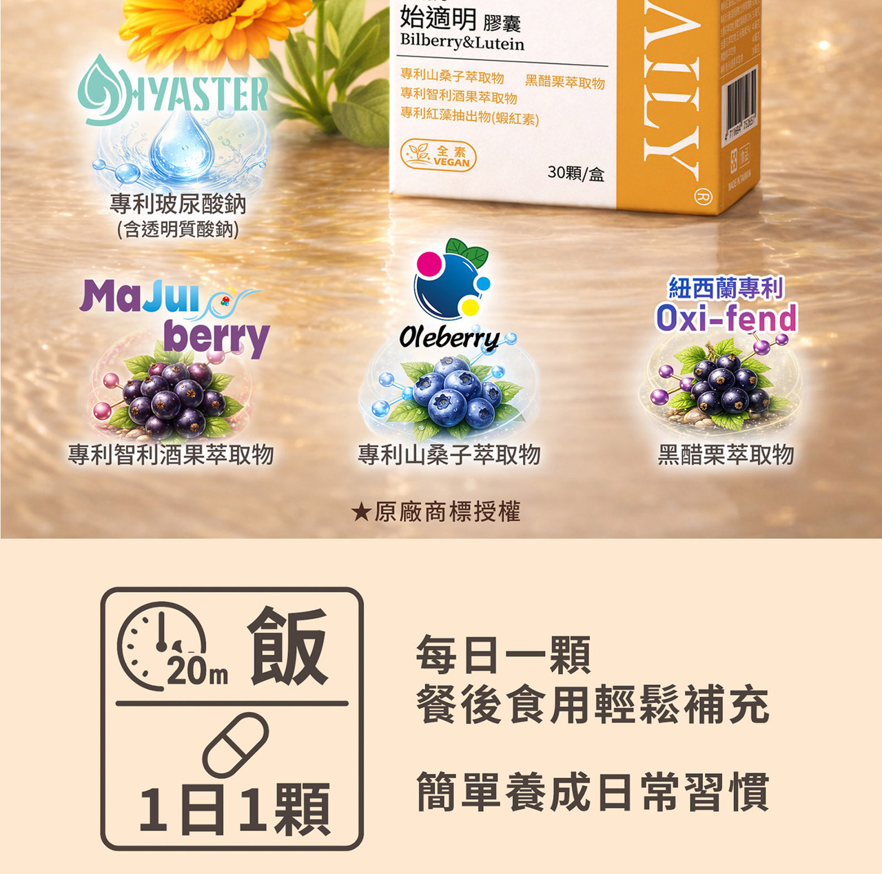 葉黃素玉米黃素複方配方設計說明