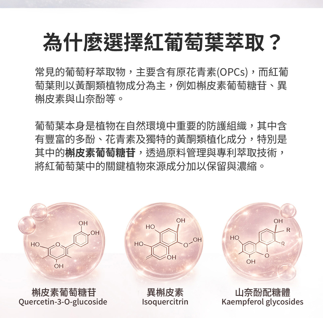 橄欖多酚與紅葡萄葉萃取 多重植物營養來源